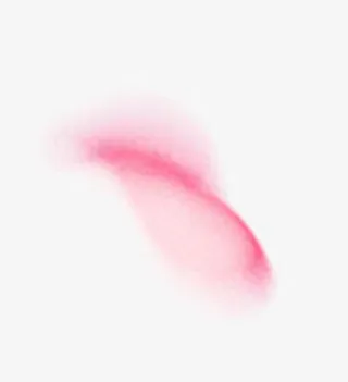 白色花瓣漂浮花瓣粉红花瓣免抠