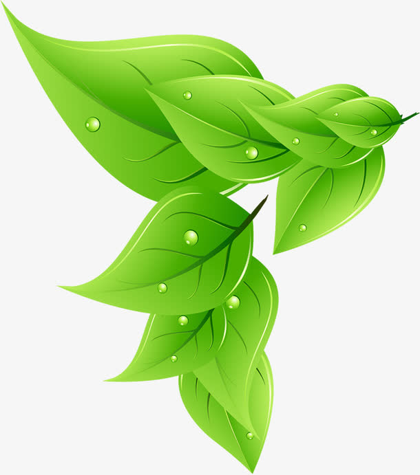 春季清新郊游植物手绘树叶免抠