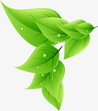 春季清新郊游植物手绘树叶免抠