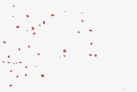 唯美落花免抠