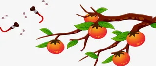 挂在枝头的红柿子免抠