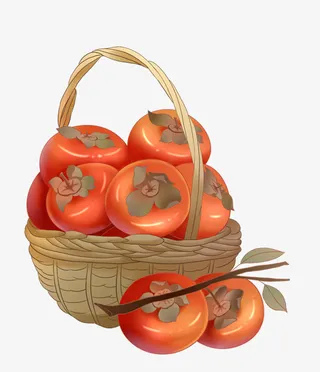 柿子 秋天 卡通柿子 秋天的果实免抠