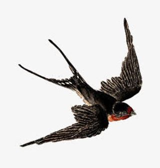 燕子燕归来中国风素材漂浮古风素免抠