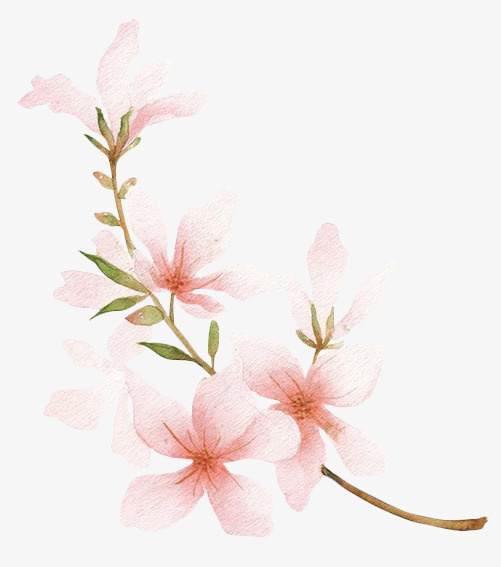 桃花免抠