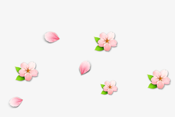 粉色清新鲜花漂浮素材免抠
