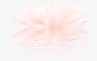 创意合成效果红色绽放的荷花免抠