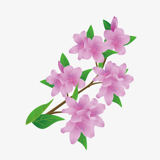 卡通桃花免抠