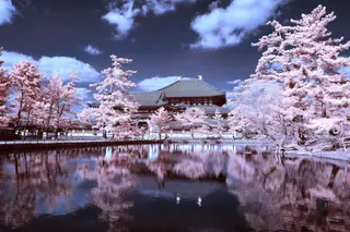 樱花倒映在湖面蓝天白云免抠