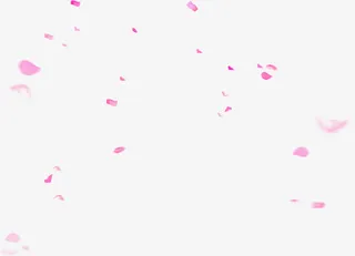 粉色花瓣碎纸漂浮素材免抠