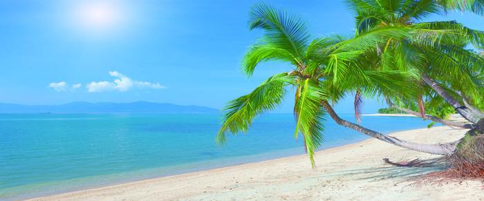 夏日海滩背景图高清