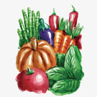 手绘瓜果蔬菜免抠