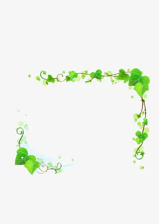 绿叶边框免抠