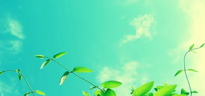 淘宝背景图高清 淘宝背景图高清