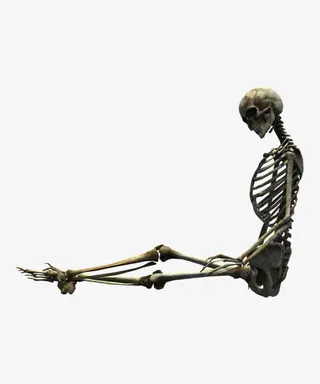 医学研究骷髅骨架素材免抠