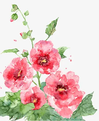 漂浮花瓣气泡简洁大方树叶树丛免抠