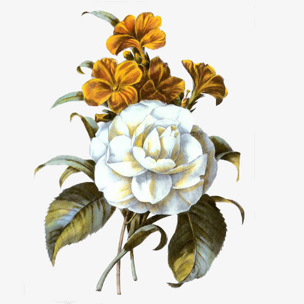 手绘鲜花素材鲜花免抠