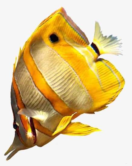 海底动物免抠