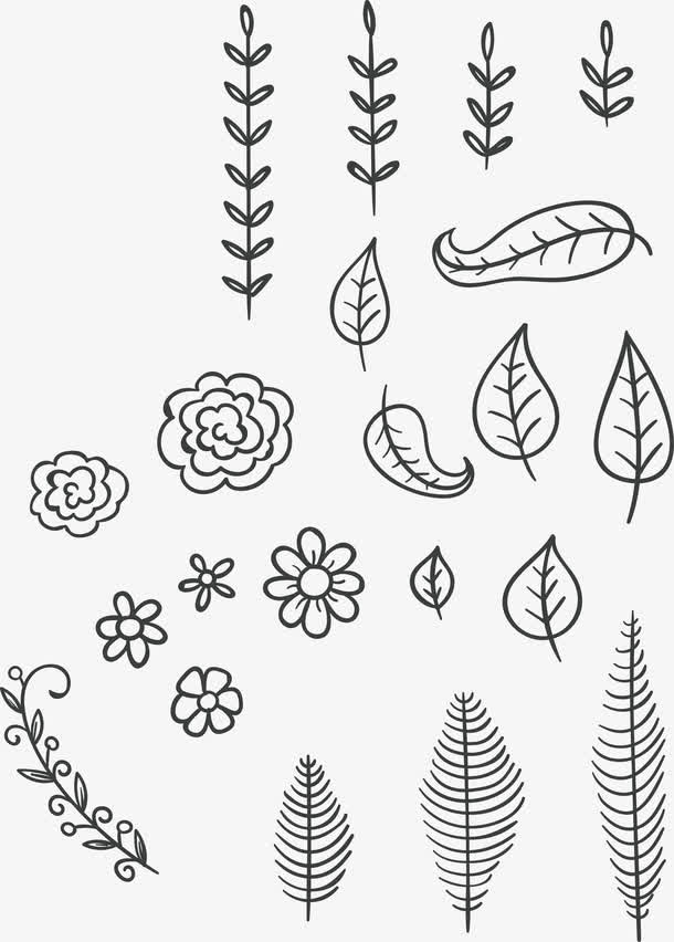 花枝矢量免抠