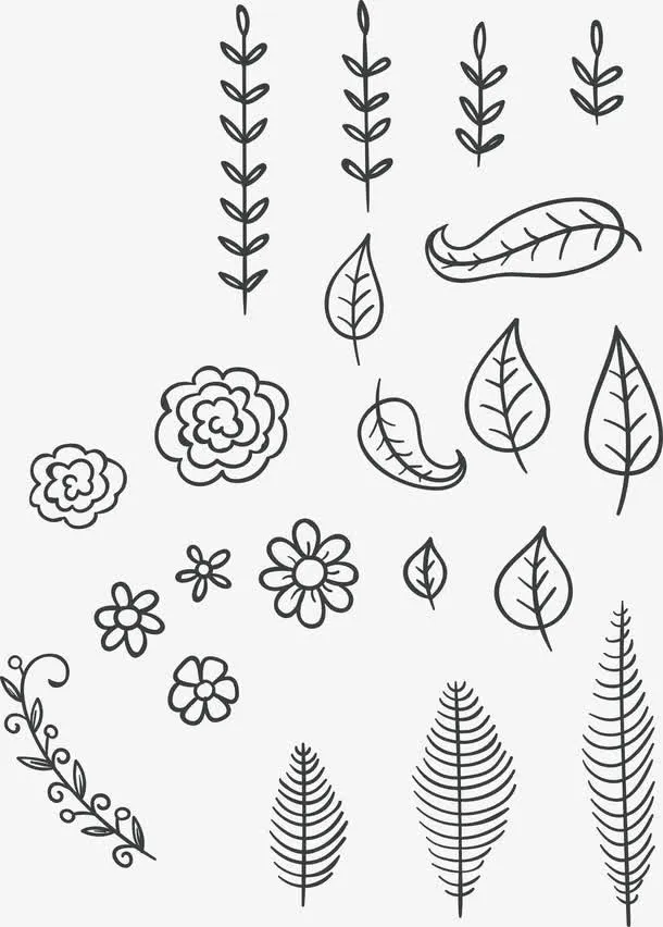 花枝矢量免抠