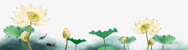 莲花荷叶装饰免抠