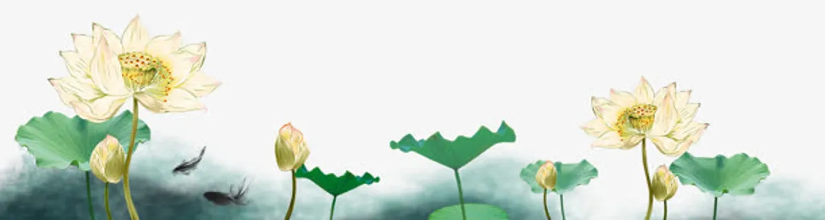 莲花荷叶装饰免抠