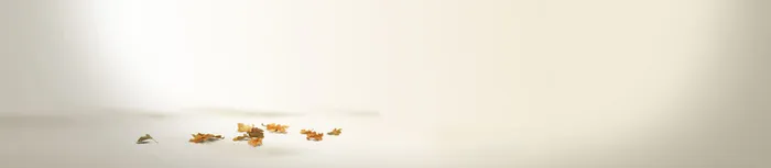 秋季奢华女装背景banner高清