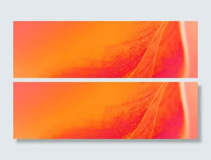 橘红花瓣纹理背景高清