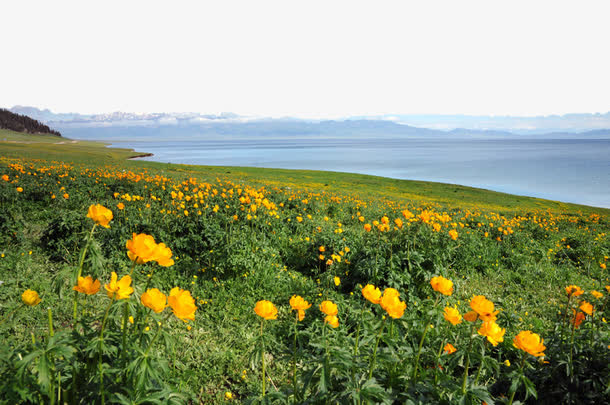 赛里木湖果子沟风景免抠