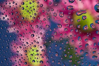 玻璃水珠鲜花背景