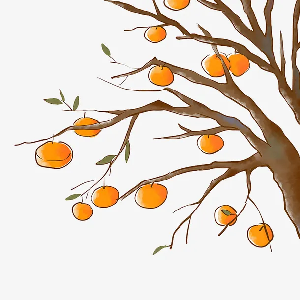 中秋佳节柿子树免抠