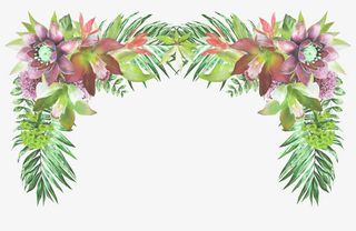 水彩边框花卉浪漫爱情免抠