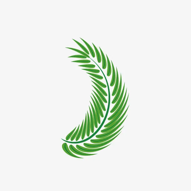 棕榈叶绿色矢量装饰免抠