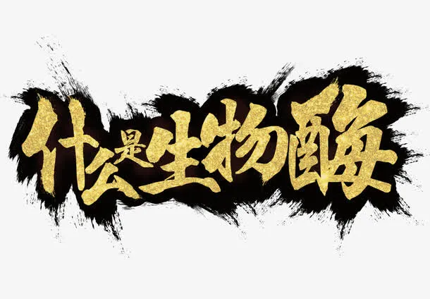 什么是生物酶免抠