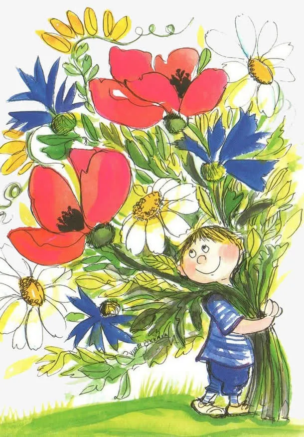 野菊花免抠