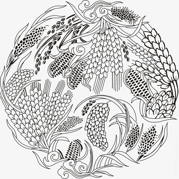 五谷 杂粮 底纹  谷子免抠