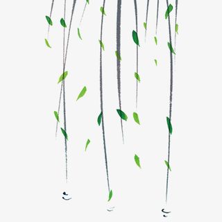 绿色清新装饰柳条设计图免抠