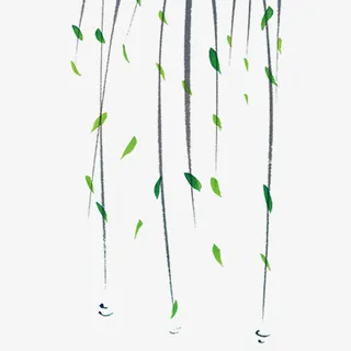 绿色清新装饰柳条设计图免抠