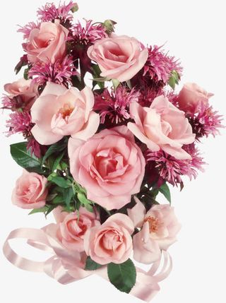 花朵齐头绽放免抠