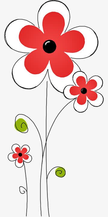 夏天绽放的花朵免抠