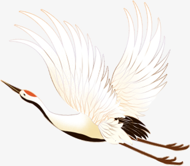 国潮风丹顶鹤免抠