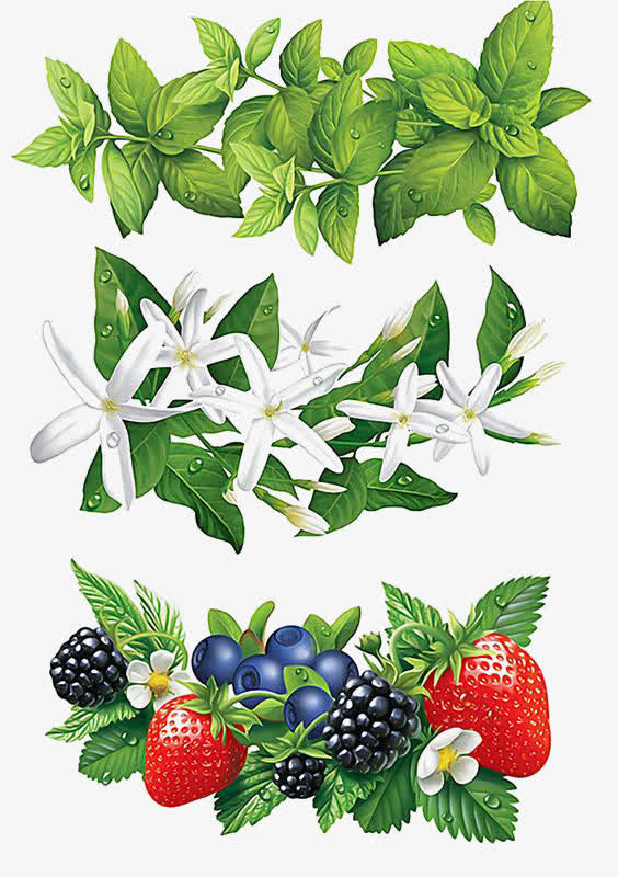 手绘绿色叶子免抠