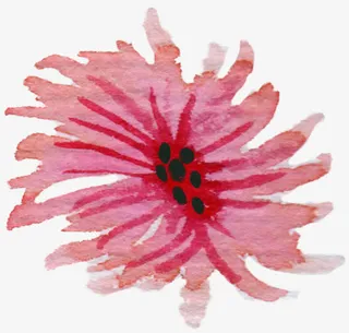 手绘水彩粉色花瓣装饰免抠