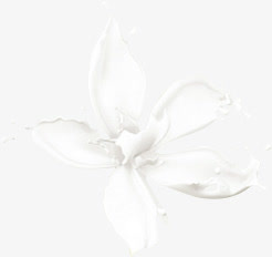 牛奶花png素材免抠