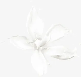 牛奶花png素材免抠