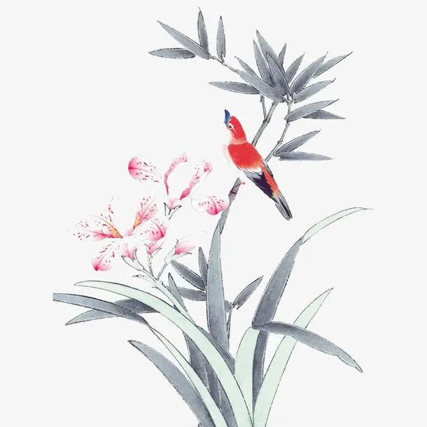 花鸟图免抠