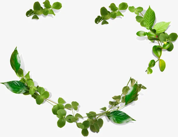 树叶树枝爱心免抠