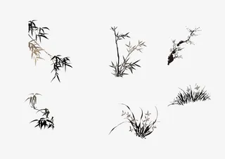 竹子PNG免抠图素材免抠