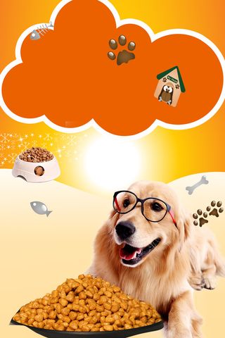 宠物店铺宠物用品促销海报高清