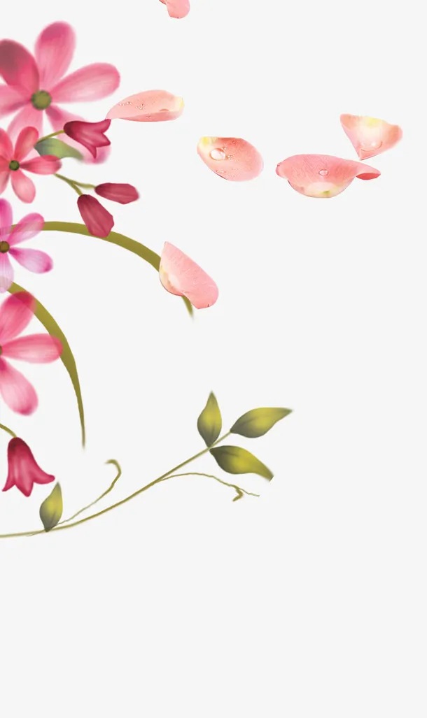 花瓣免抠