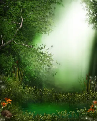 梦幻森林绿色背景高清